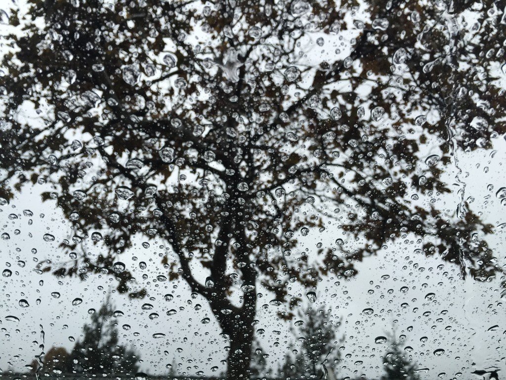 Rain drops in my car window during recent rain at Bay area, California